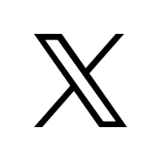 公式X
